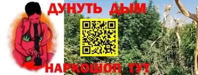 мдпв Новокубанск