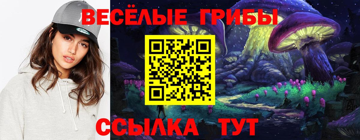 Псилоцибиновые грибы Psilocybe  Псилоцибиновые грибы прущие грибы  Вход с VPN  Ухта 
