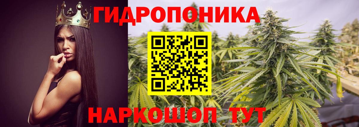 Бошки Шишки ГИДРОПОН  Канабис гибрид  Вход с VPN  Бошки марихуана марихуана  Ухта 